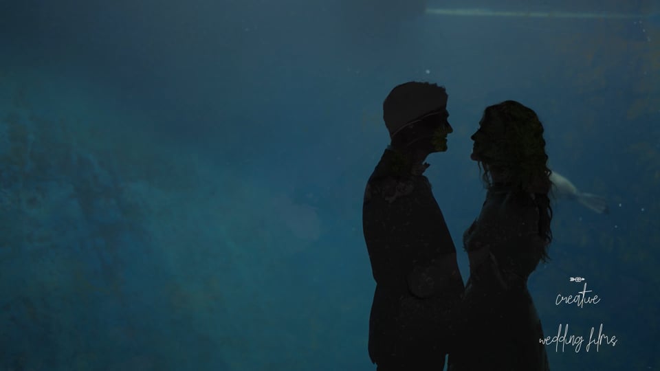 Wedding film at Melbourne Zoo by Creative Wedding Films