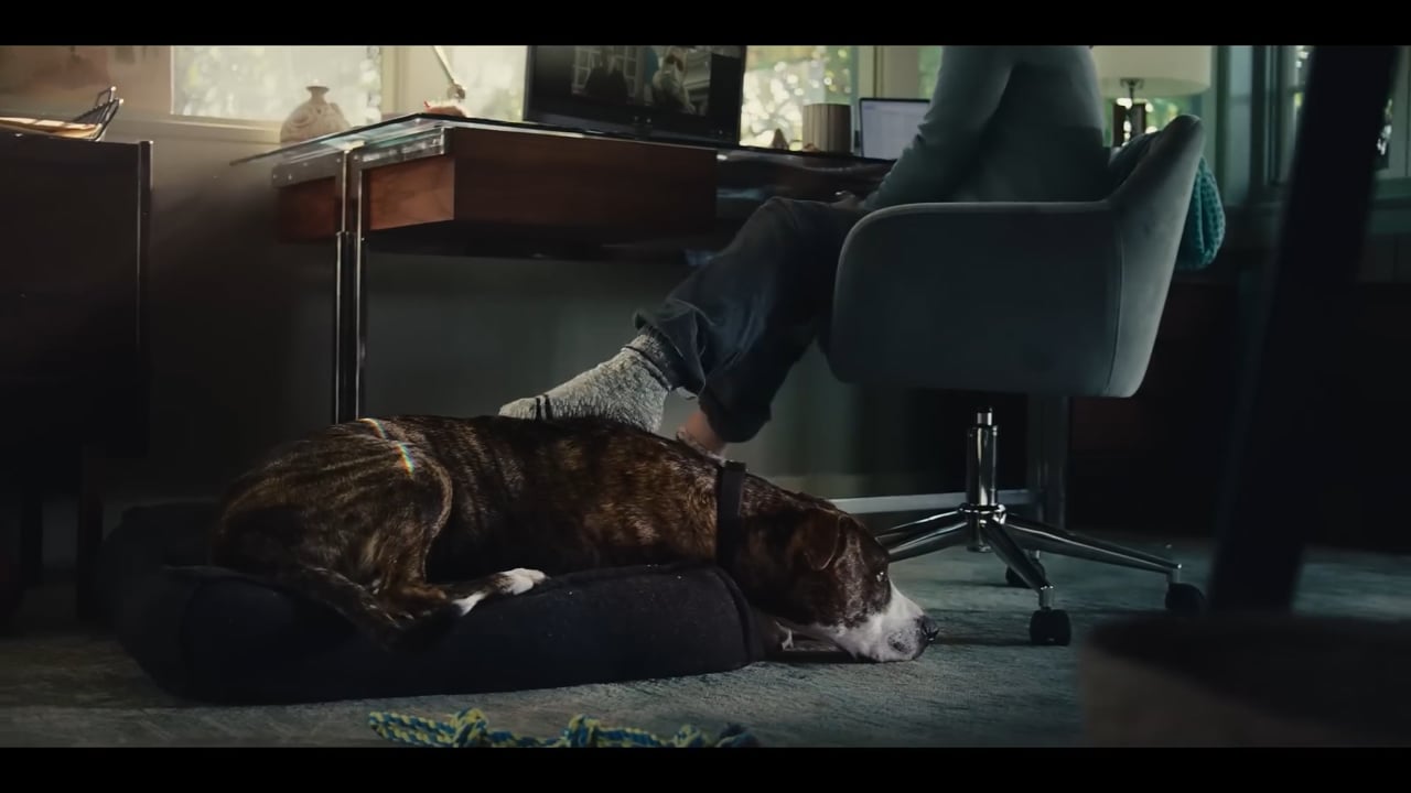 Amazon.mp4