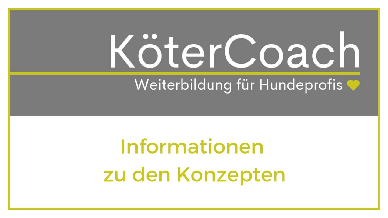 Kleini – Welpengruppen-Videokurs