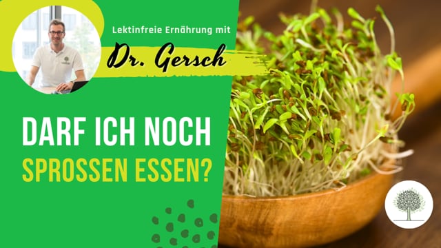 Sind Sprossen lektinfrei und gesund?