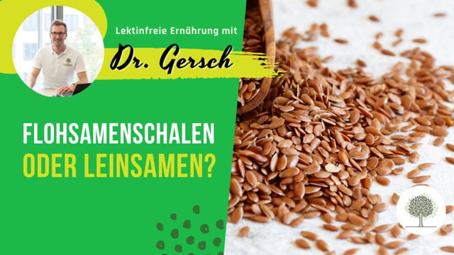 Sind Flohsamenschalen besser für die Stuhlregulierung als Leinsamen? Und was tun, wenn Flohsamenschalen nicht vertragen werden? 