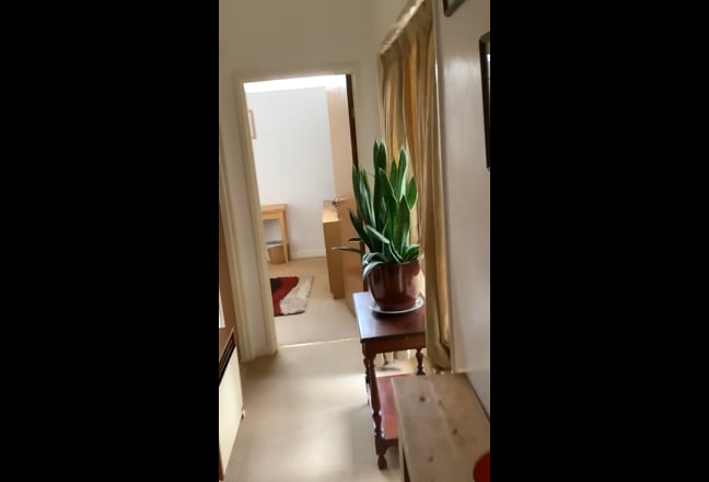 Video 1: 