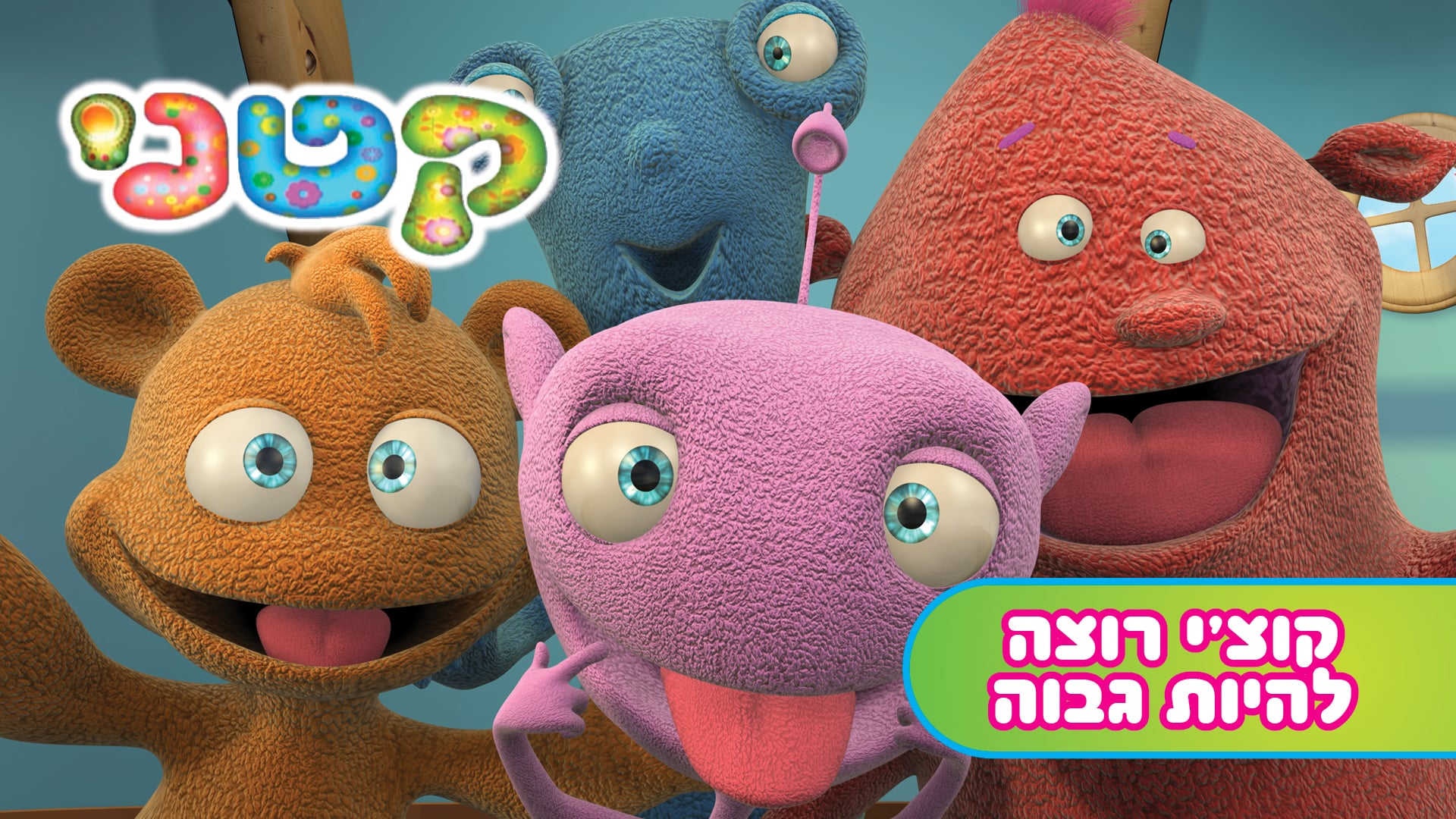 קטני - קוצ'י רוצה להיות גבוה | יוקיד