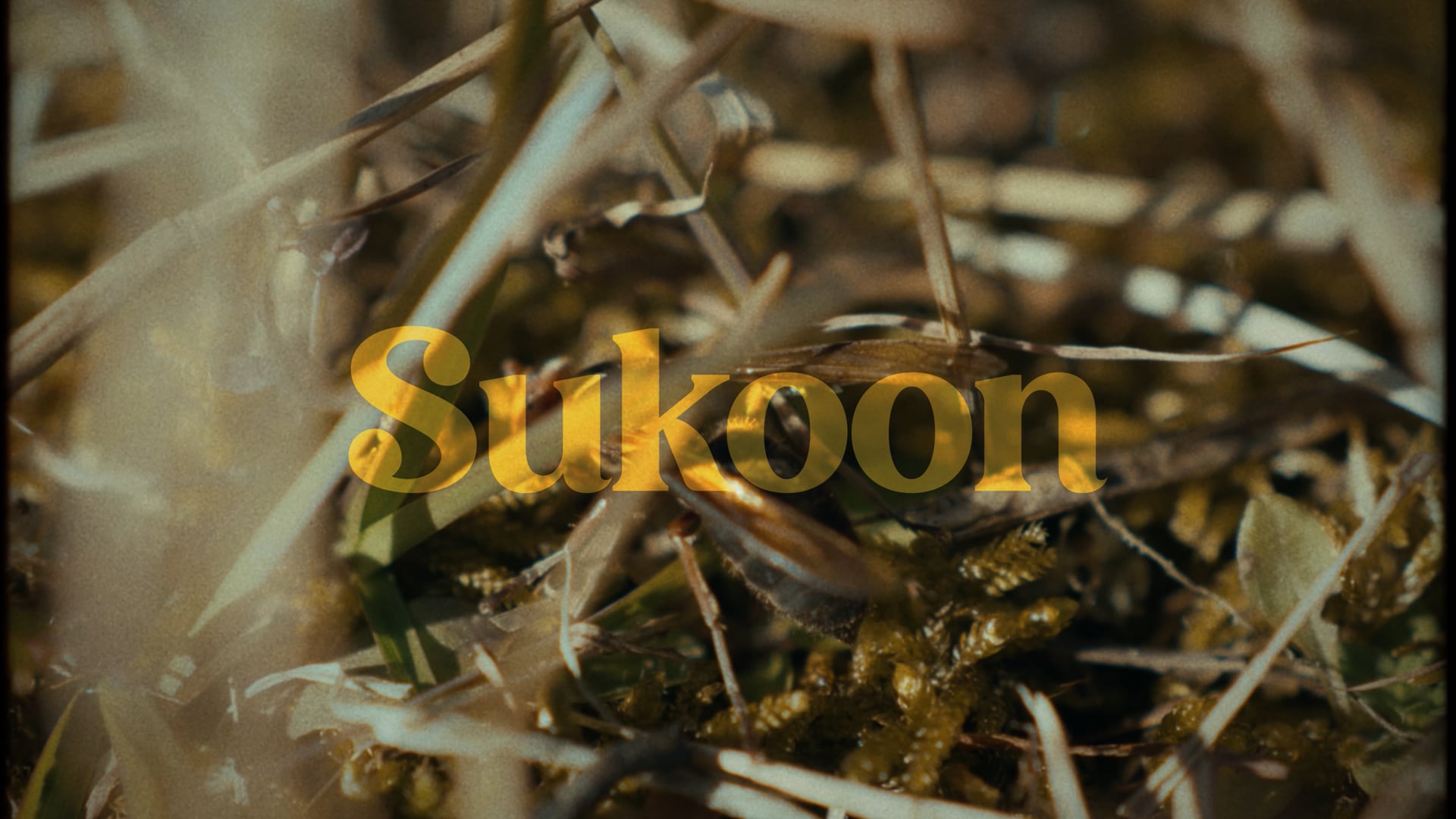 Sukoon [Official Music Video].mp4