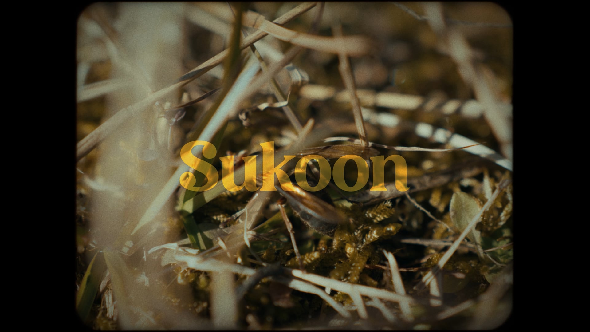 Sukoon [Official Music Video].mp4