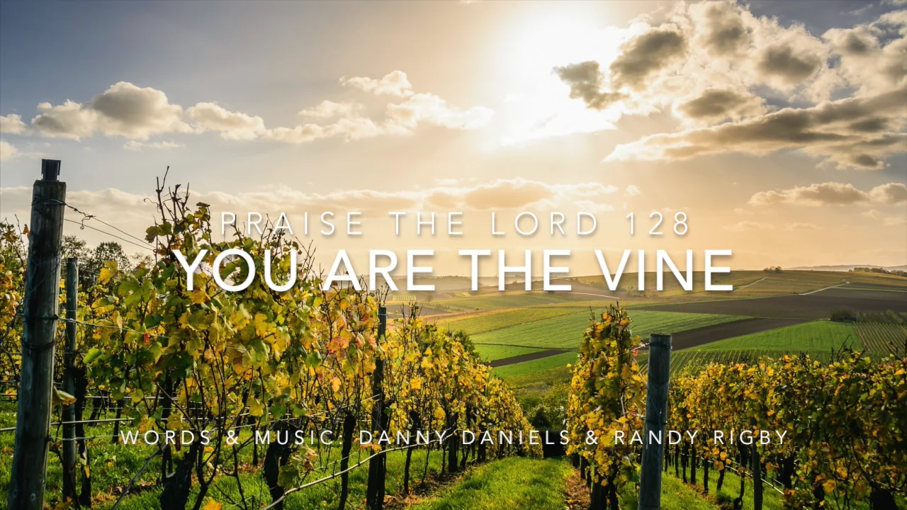 PTL 128 - You are the vine