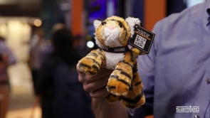 For The Love Of Tigers