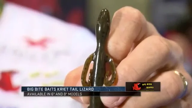 Big Bite Baits 6 inch Pro Lizard Soft Plastic — Discount Tackle