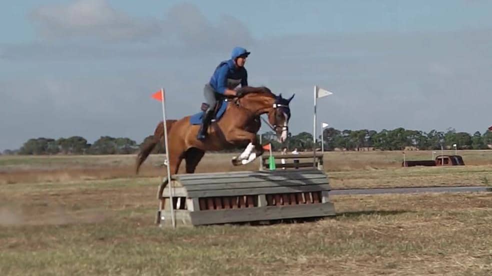 Tim Hart riding WMC Lily