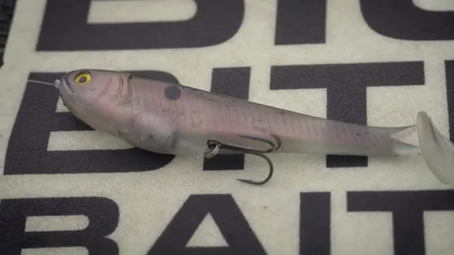 Big Bite Baits B5 Line Thru 5 inch Paddle Tail Swimbait — Discount Tackle