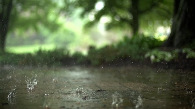 8,537 Rainy Wallpaper Stock Video Footage - 4K and HD Video Clips