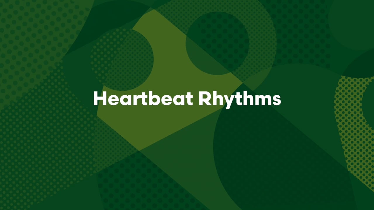 THE HEARTBEAT RHYTHMS