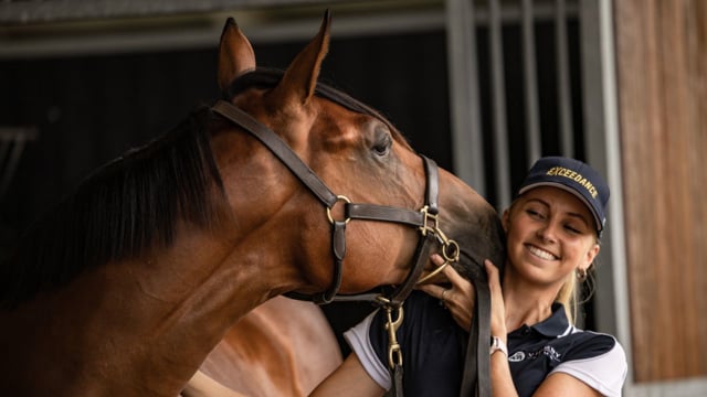 Valentine's Day Kiss Cam: 2023 Inglis Classic Yearling Sale Snippet