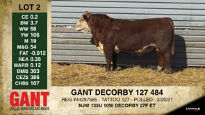 Lot #2 - GANT DECORBY 127 484