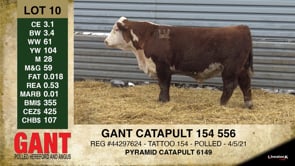 Lot #10 - GANT CATAPULT 154 556
