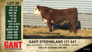 Lot #20 - GANT STEENSLAND 171 547
