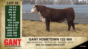 Lot #18 - GANT HOMETOWN 122 469
