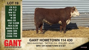 Lot #19 - GANT HOMETOWN 114 430