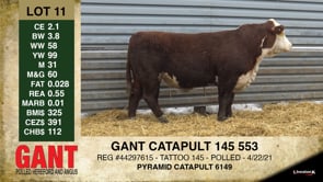Lot #11 - GANT CATAPULT 145 553