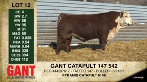 Lot #12 - GANT CATAPULT 147 542