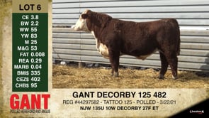 Lot #6 - GANT DECORBY 125 482