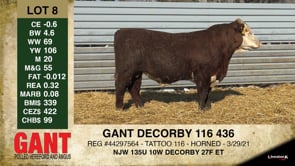 Lot #8 - GANT DECORBY 116 436