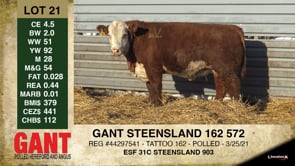 Lot #21 - GANT STEENSLAND 162 572