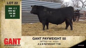 Lot #22 - GANT PAYWEIGHT 50