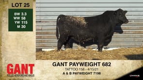 Lot #25 - GANT PAYWEIGHT 682