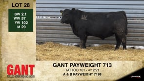 Lot #28 - GANT PAYWEIGHT 713