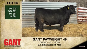 Lot #36 - GANT PAYWEIGHT 49