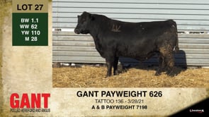 Lot #27 - GANT PAYWEIGHT 626