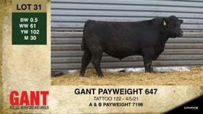 Lot #31 - GANT PAYWEIGHT 647