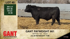 Lot #40 - GANT PAYWEIGHT 661