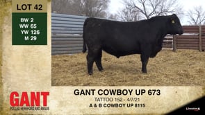Lot #42 - GANT COWBOY UP 673