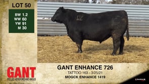 Lot #50 - GANT ENHANCE 726