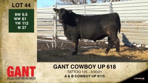 Lot #44 - GANT COWBOY UP 618