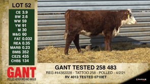 Lot #52 - GANT TESTED 258 483