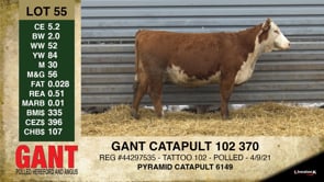 Lot #55 - GANT CATAPULT 102 370