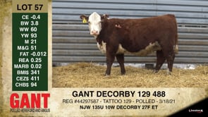 Lot #57 - GANT DECORBY 129 488
