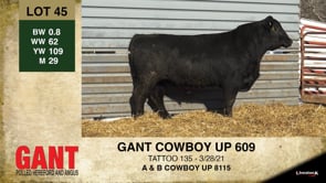 Lot #45 - GANT COWBOY UP 609