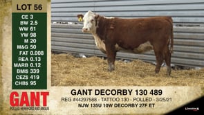 Lot #56 - GANT DECORBY 130 489