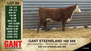 Lot #59 - GANT STEENSLAND 160 568