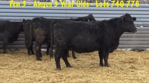 Lot #740 - PEN 3: 740