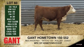 Lot #60 - GANT HOMETOWN 150 552