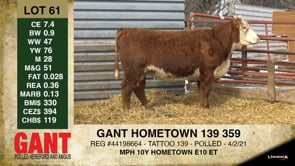 Lot #61 - GANT HOMETOWN 139 359