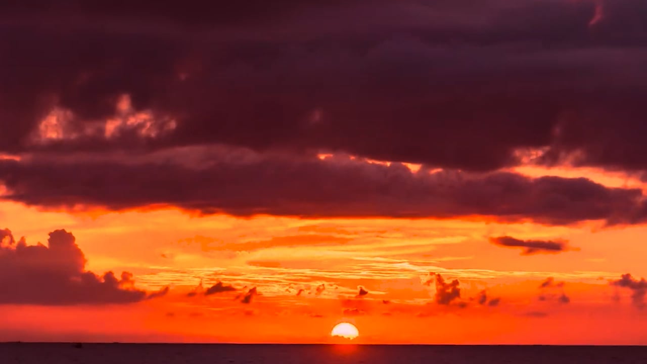 DARK SUNSET BIO 2.mp4 on Vimeo