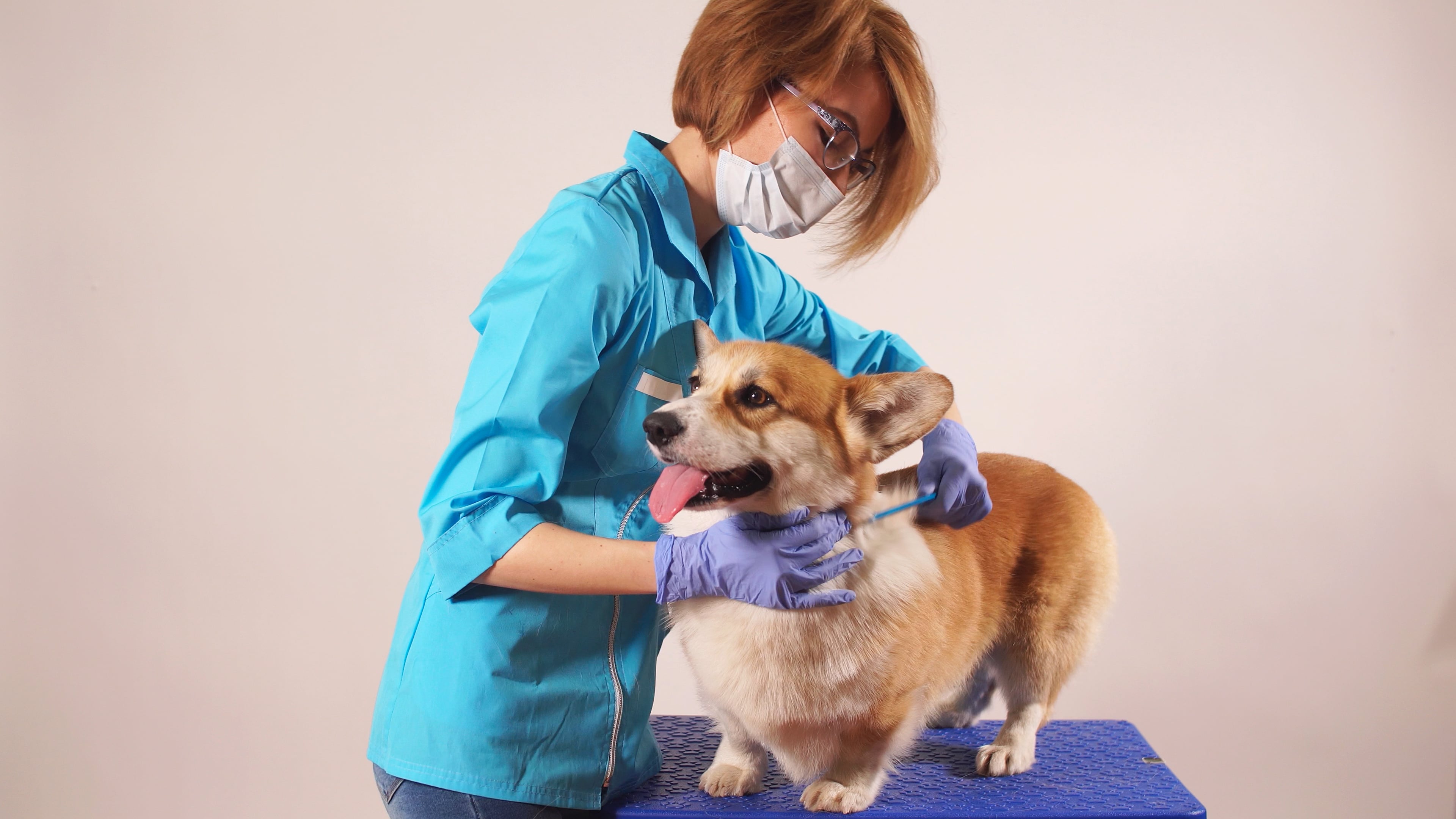 Deshedding Treatment on Vimeo