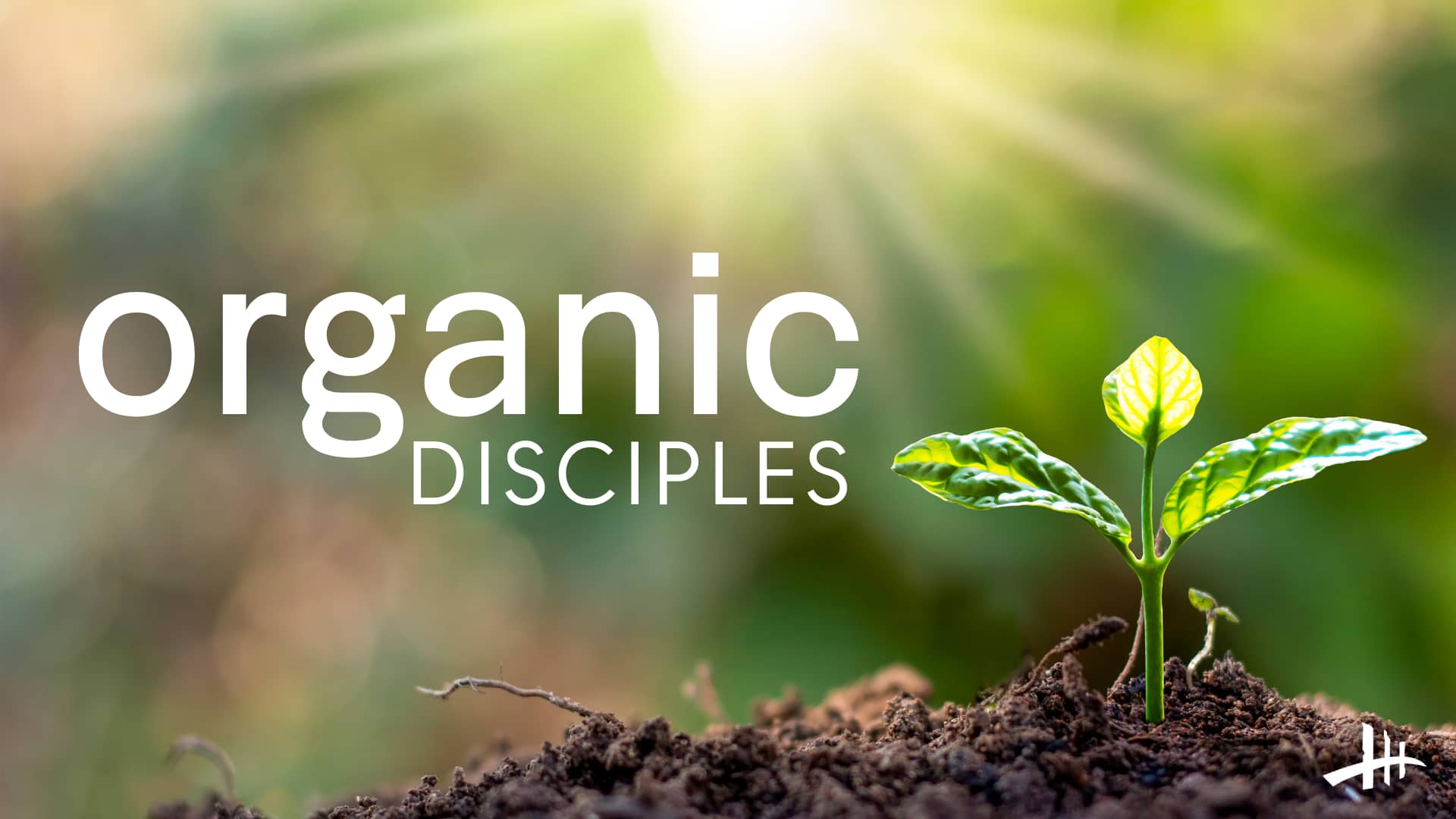 Organic Disciples Humble Service 02/12/23 on Vimeo