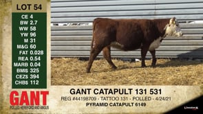 Lot #54 - GANT CATAPULT 131 531